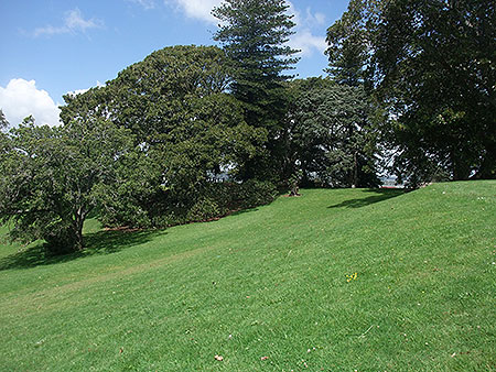 Disc Golf New Zealand